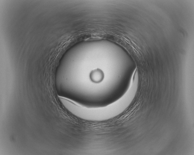 X0000115831345200912041639