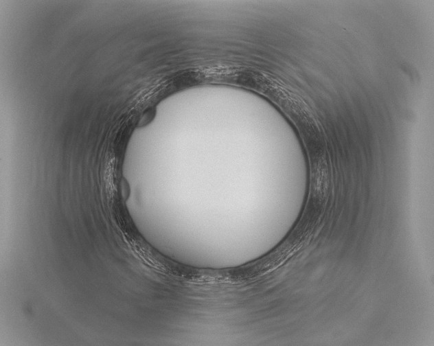 X0000115831346200912041639