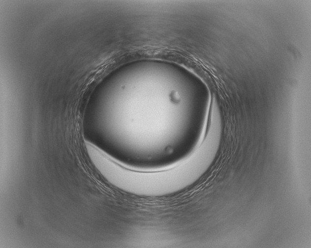 X0000115831349200912041639