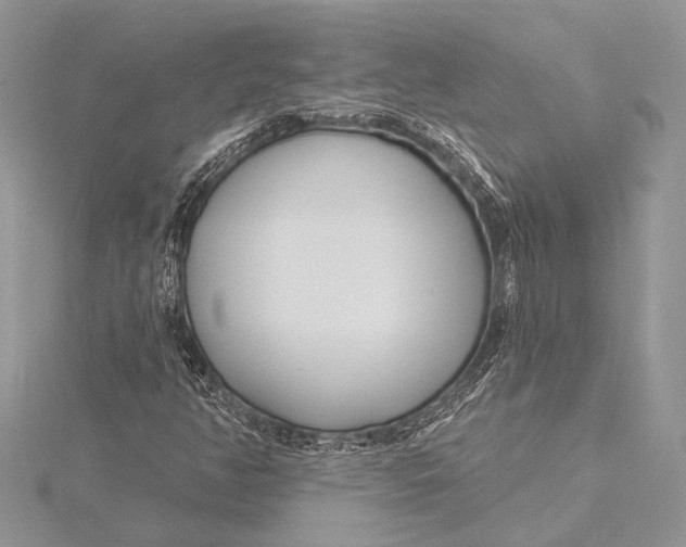 X0000115831350200912041639