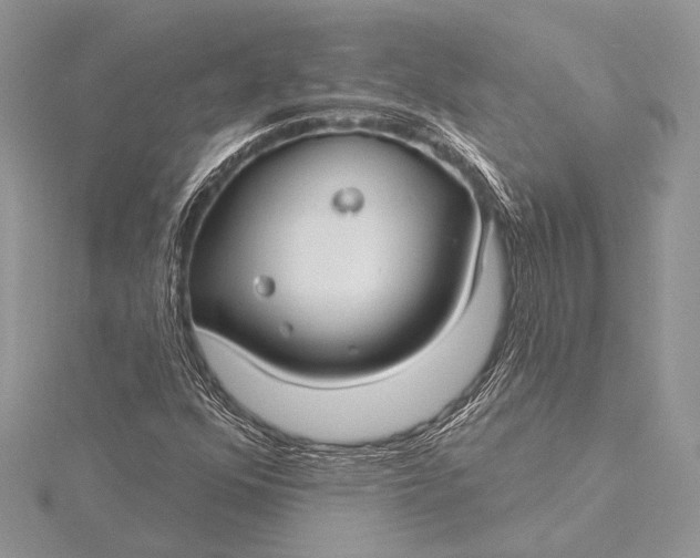 X0000115831352200912041639