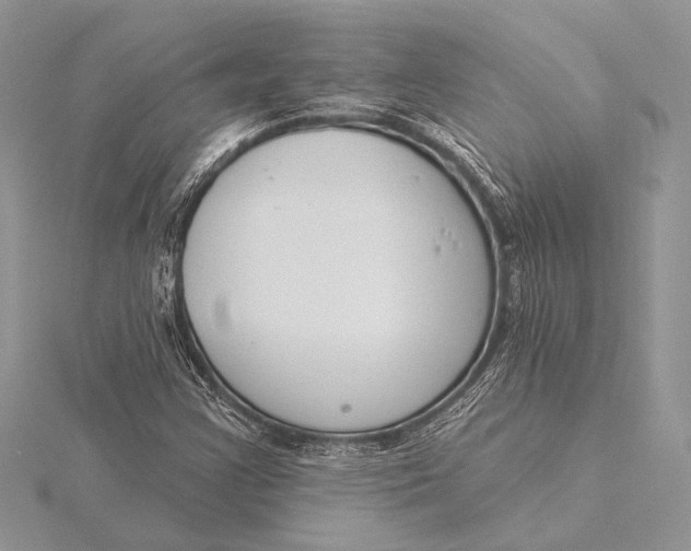 X0000115831355200912041639