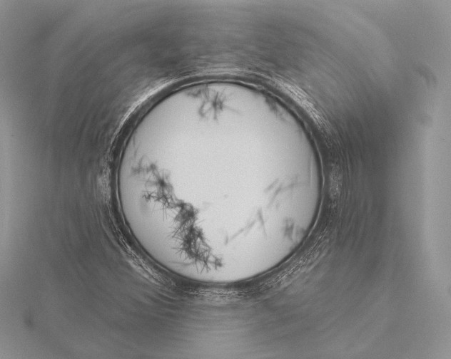 X0000115831356200912041639