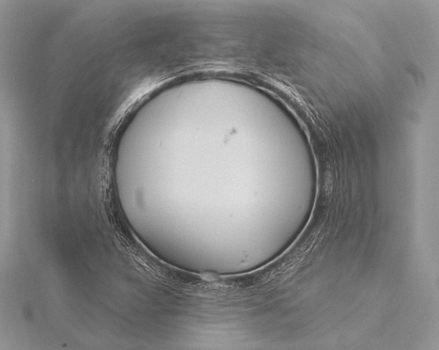 X0000115831359200912041639