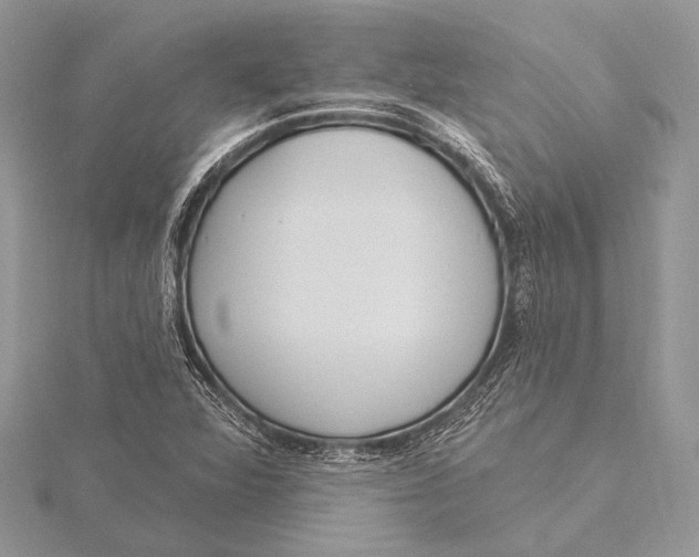 X0000115831360200912041639