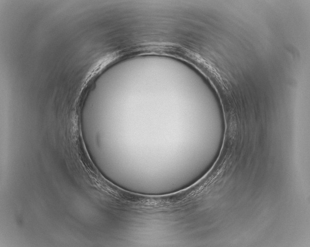 X0000115831362200912041639