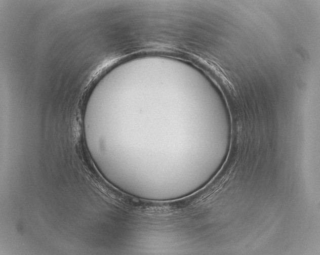 X0000115831363200912041639