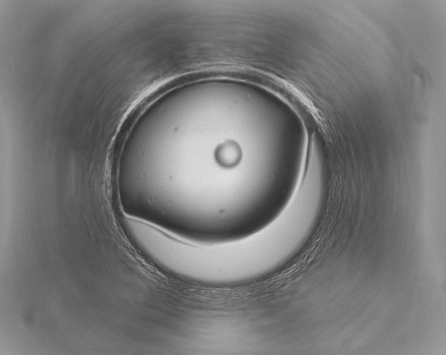 X0000115831364200912041639