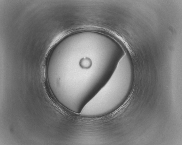 X0000115831365200912041639