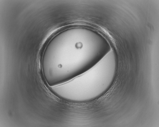 X0000115831368200912041639