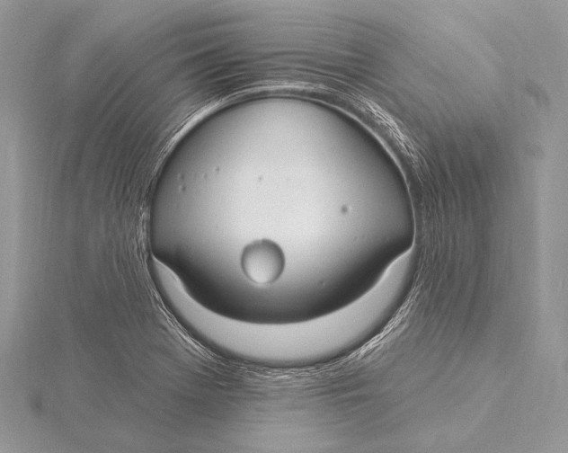 X0000115831369200912041639