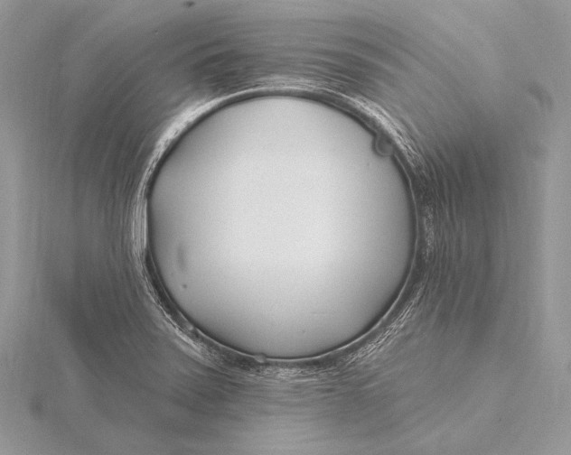 X0000115831371200912041639