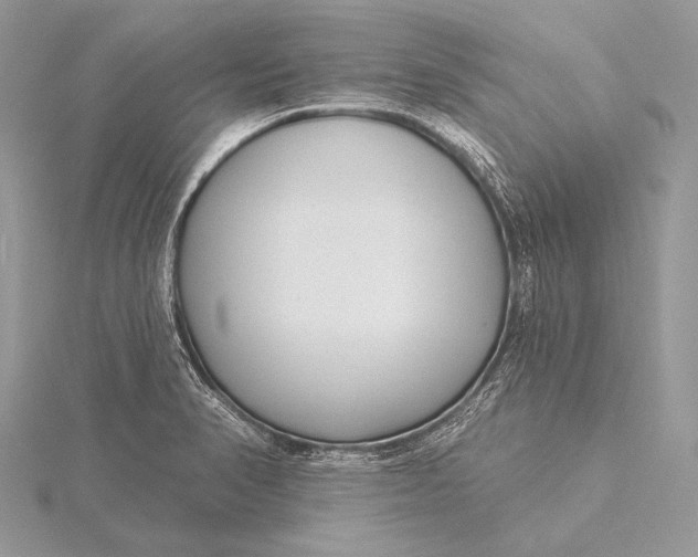 X0000115831374200912041639