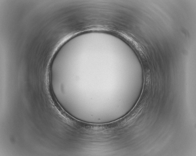 X0000115831375200912041639