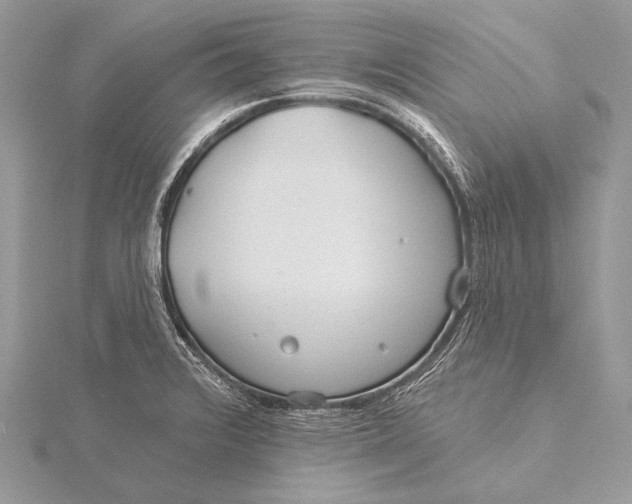 X0000115831376200912041639