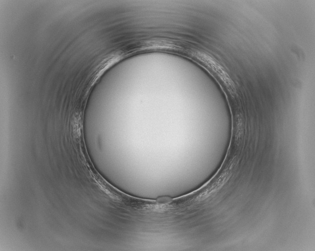 X0000115831377200912041639