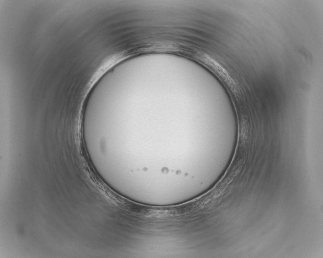 X0000115831378200912041639