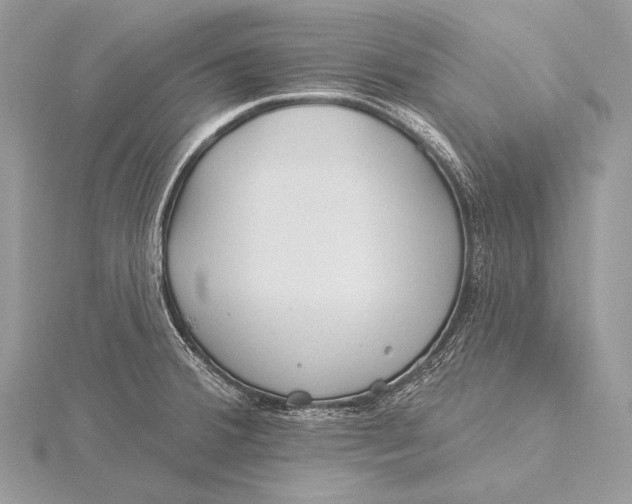 X0000115831380200912041639