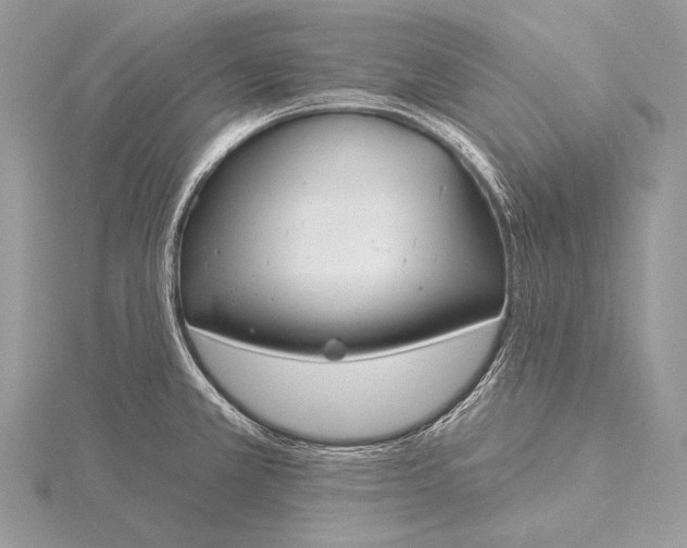 X0000115831381200912041639