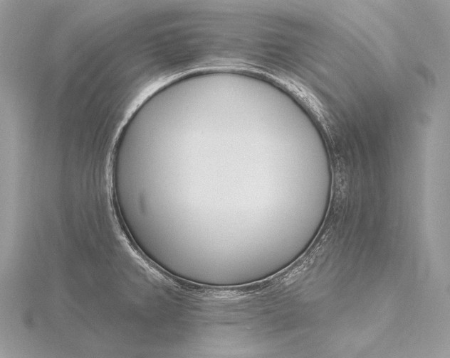 X0000115831382200912041639