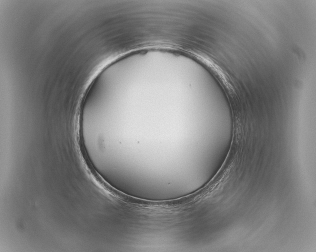 X0000115831383200912041639