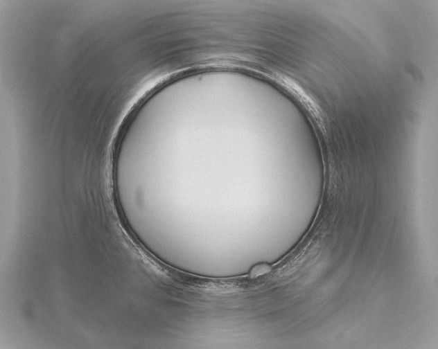 X0000115831384200912041639