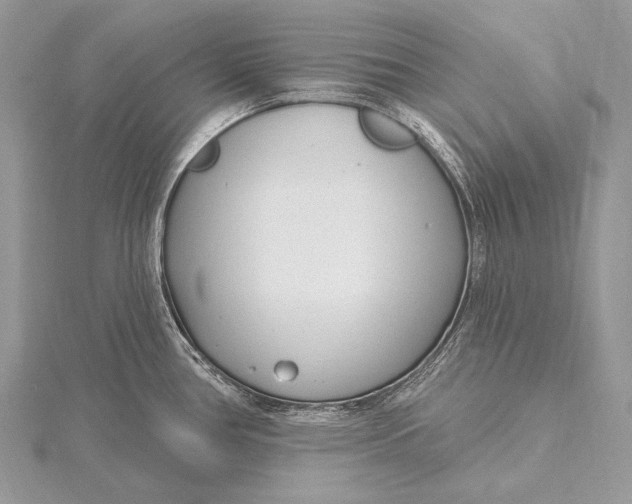 X0000115831386200912041639