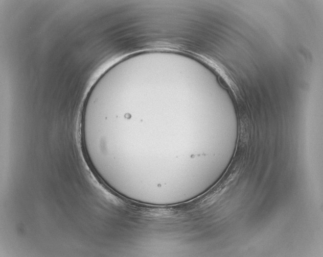 X0000115831387200912041639