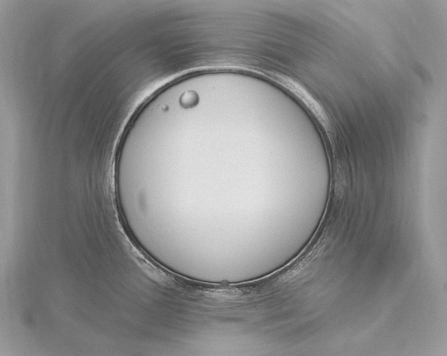 X0000115831388200912041639