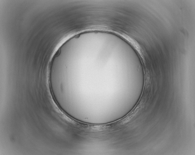 X0000115831390200912041638