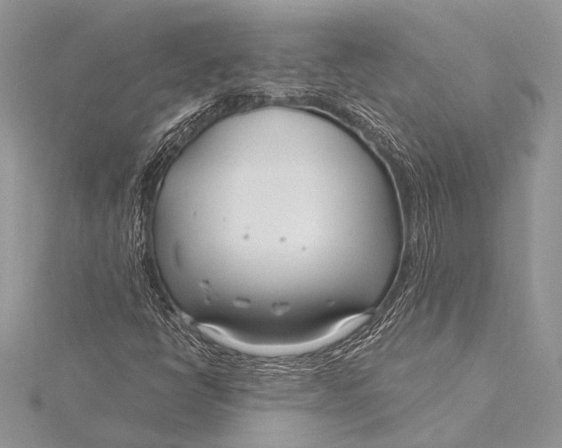 X0000115831398200912041638