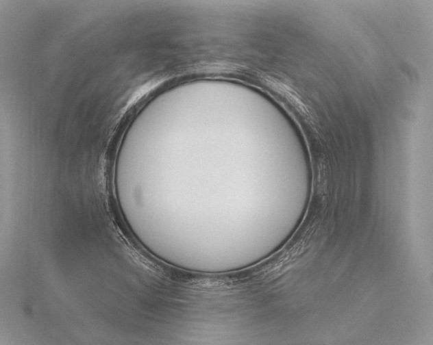 X0000115831404200912041638