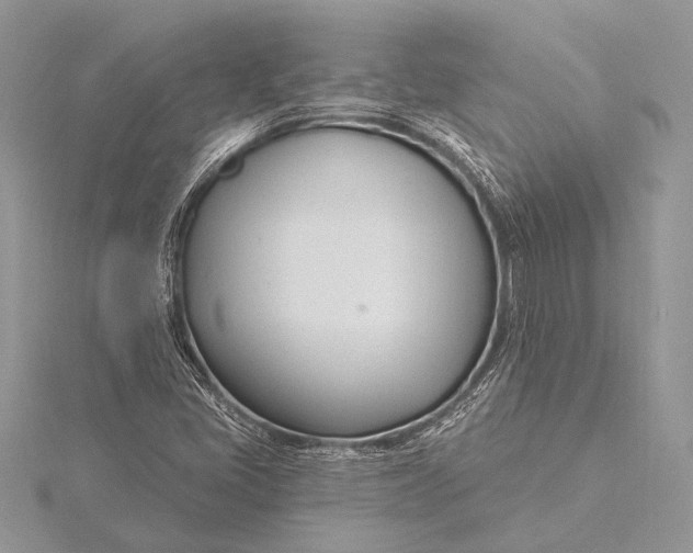 X0000115831405200912041638