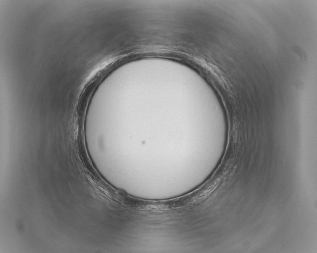 X0000115831406200912041638