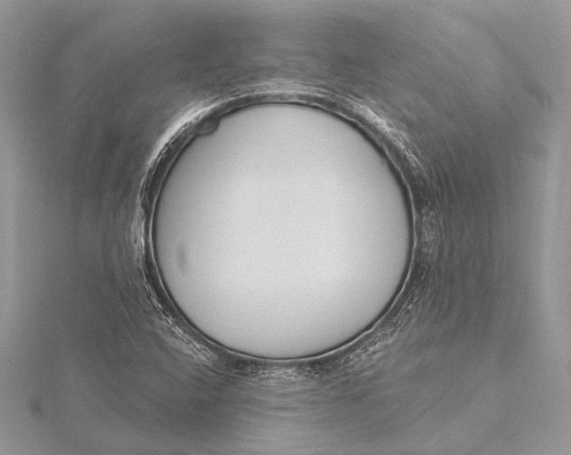 X0000115831408200912041638