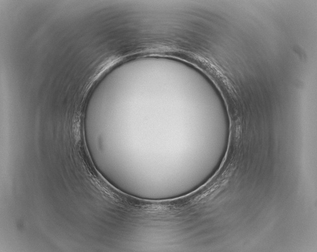 X0000115831409200912041638