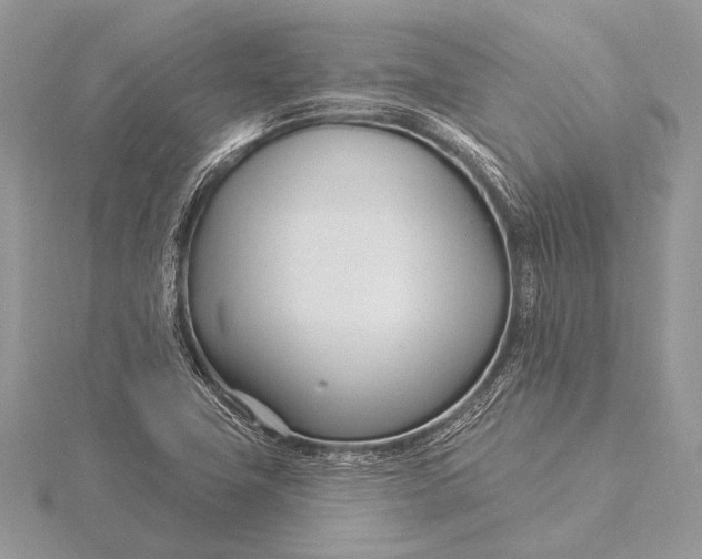 X0000115831411200912041638