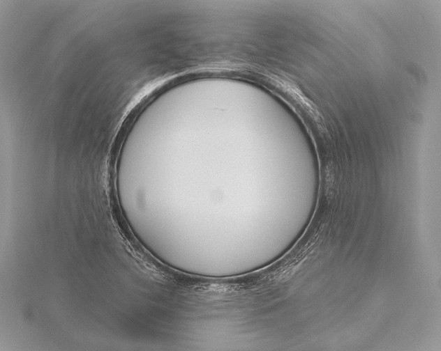 X0000115831412200912041638