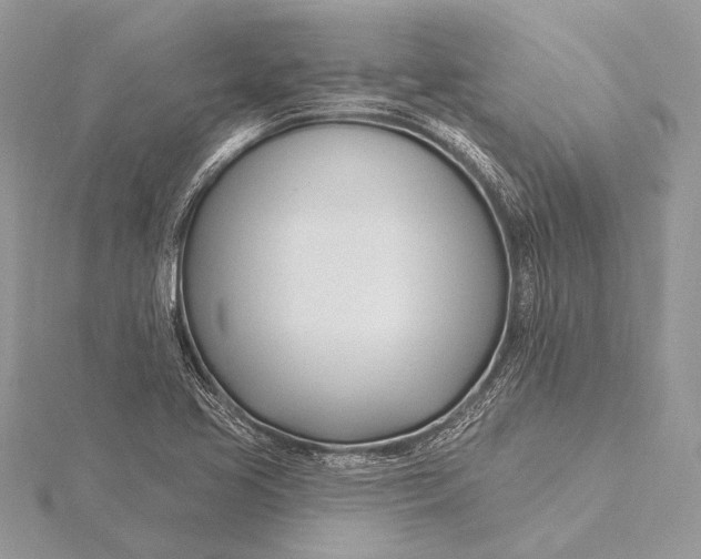 X0000115831413200912041638