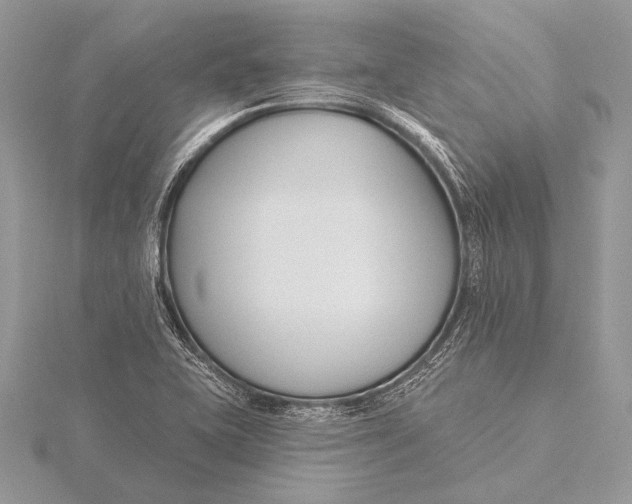 X0000115831415200912041638