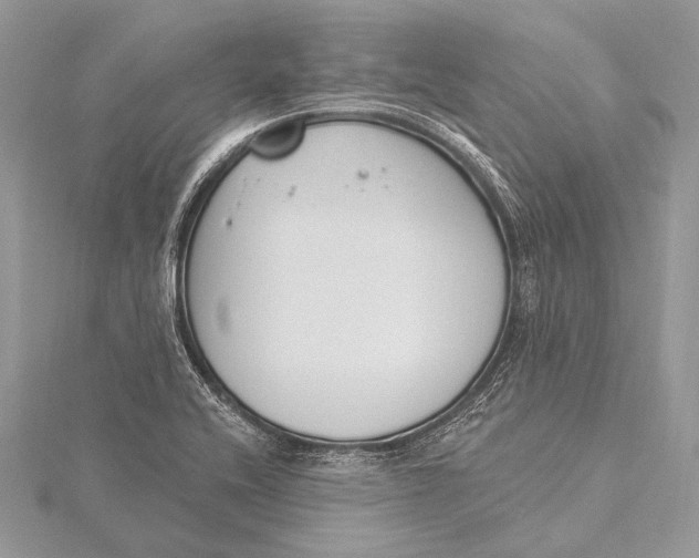 X0000115831416200912041638