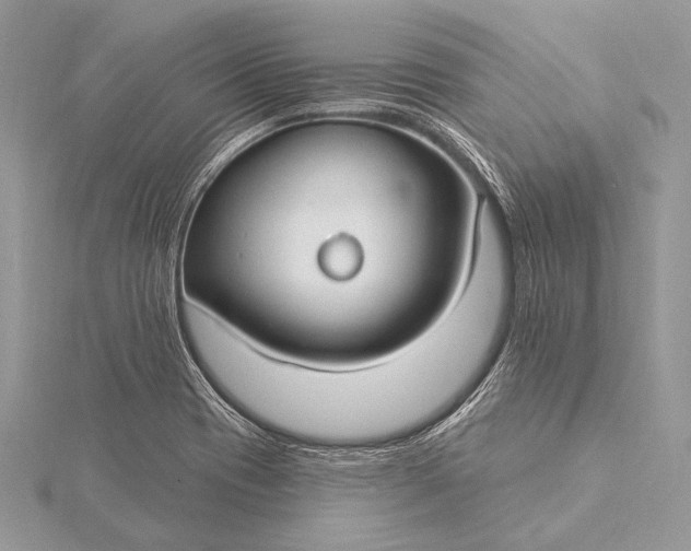 X0000115831417200912041638