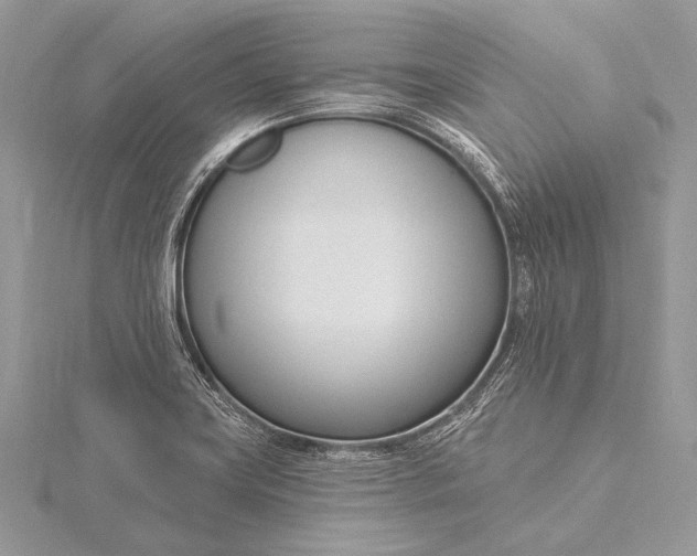 X0000115831419200912041638