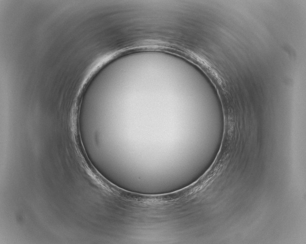 X0000115831421200912041638