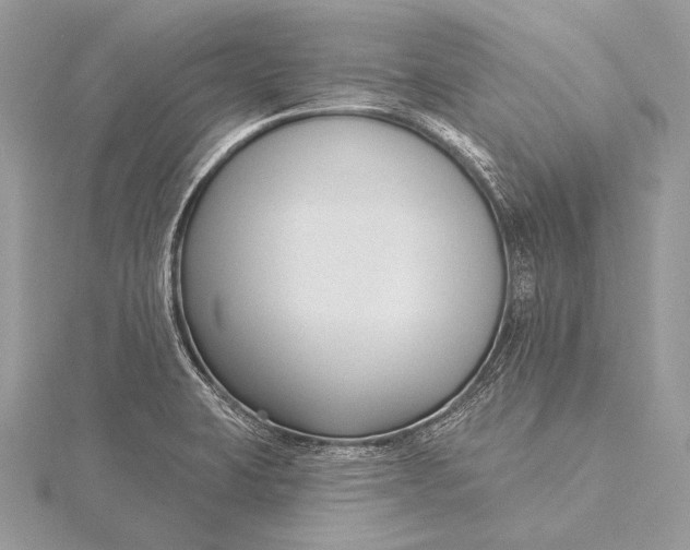 X0000115831423200912041638