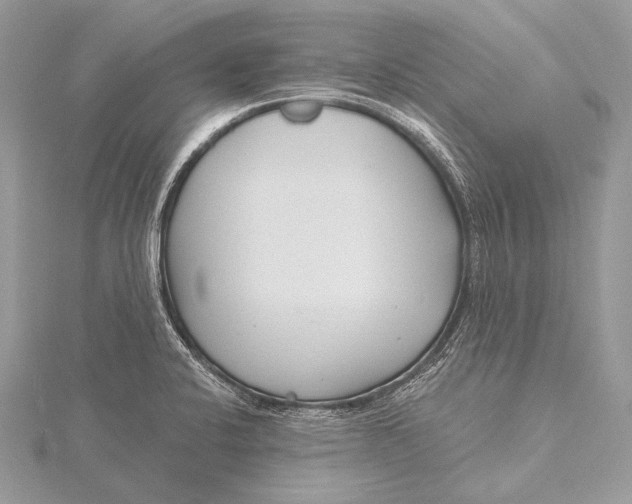 X0000115831424200912041638