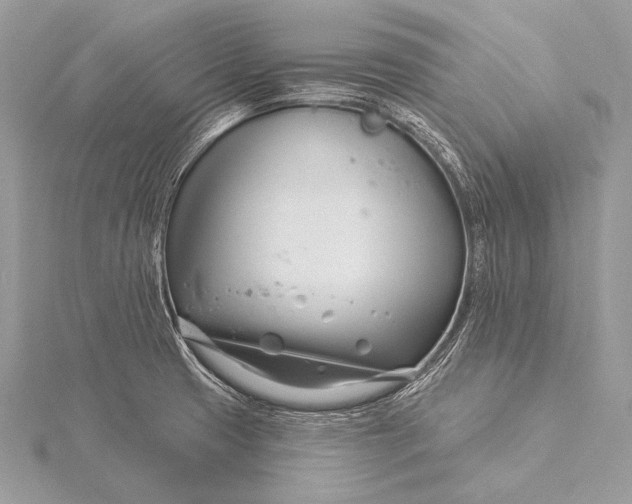 X0000115831425200912041638