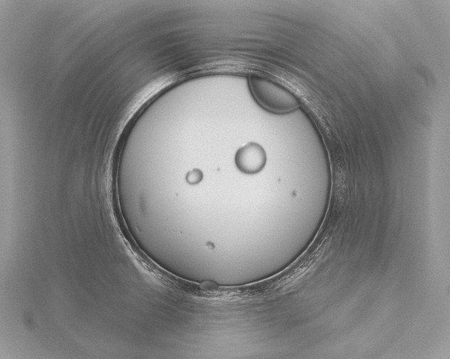 X0000115831426200912041638