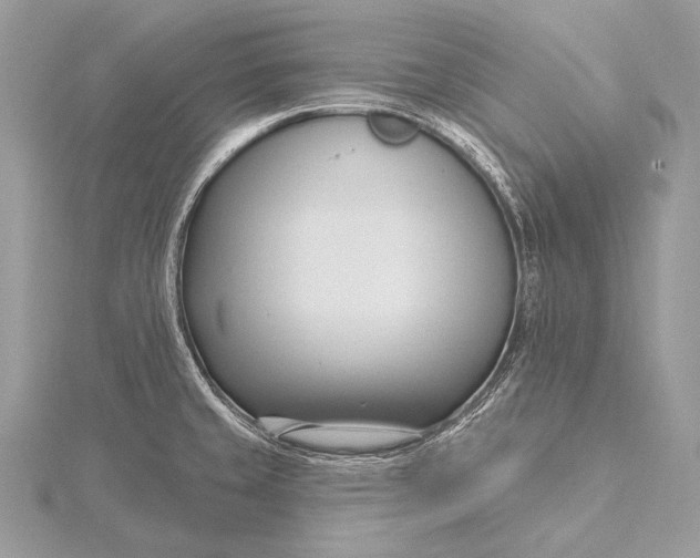 X0000115831429200912041638