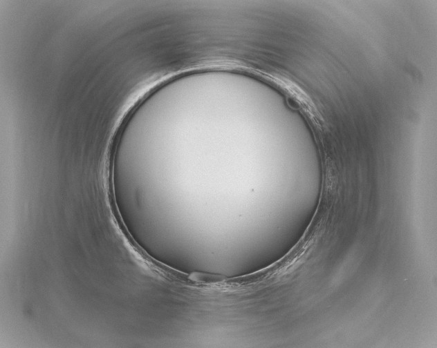 X0000115831430200912041638